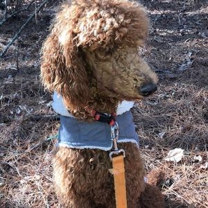 Meet your Posher, Kylee